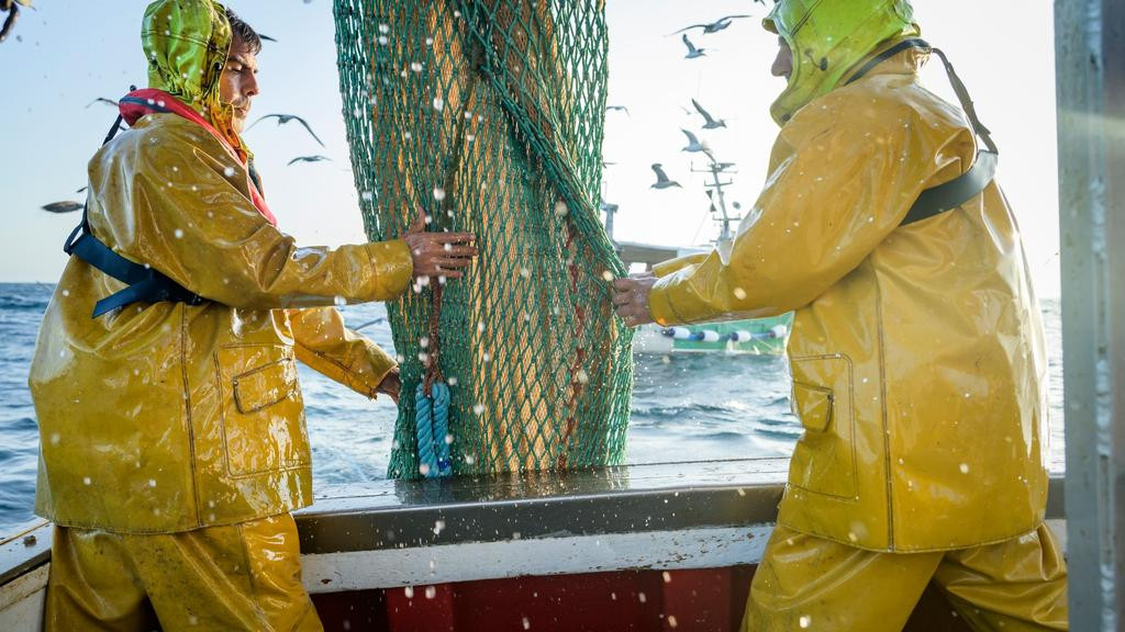 La production : premier maillon de la filière pêche